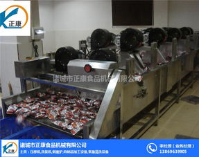 专注于高效除水 江苏正康食品机械提供领先的包装袋水分除水机解决方案